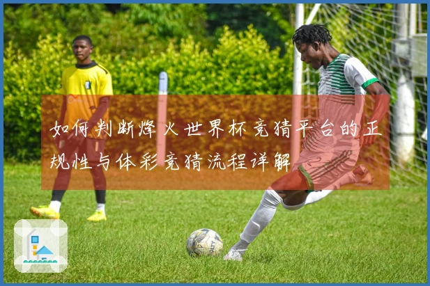 如何判断烽火世界杯竞猜平台的正规性与体彩竞猜流程详解