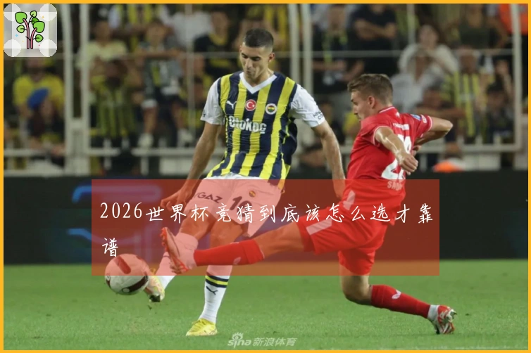 2026世界杯竞猜到底该怎么选才靠谱
