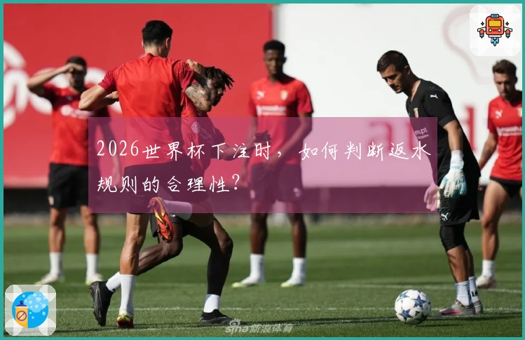 2026世界杯下注时，如何判断返水规则的合理性？