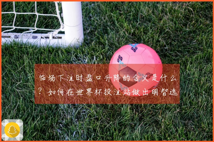 临场下注时盘口升降的含义是什么？如何在世界杯投注站做出明智选择？