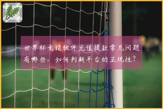 世界杯竞猜软件充值提款常见问题有哪些，如何判断平台的正规性？