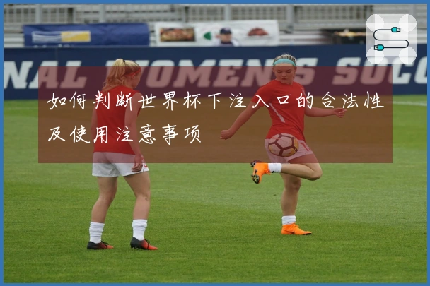 如何判断世界杯下注入口的合法性及使用注意事项