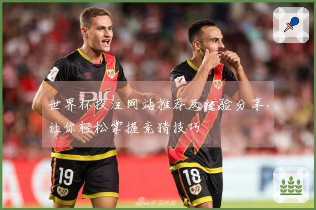 世界杯投注网站推荐及经验分享，让你轻松掌握竞猜技巧