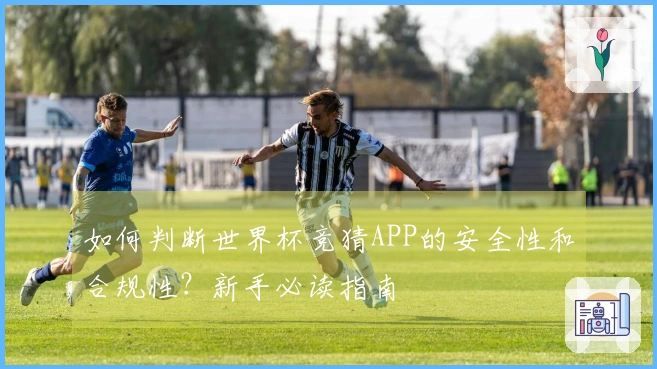 如何判断世界杯竞猜APP的安全性和合规性？新手必读指南