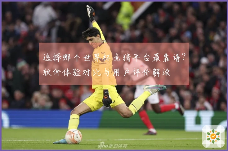 选择哪个世界杯竞猜平台最靠谱？软件体验对比与用户评价解读