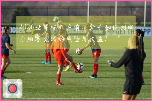 2026世界杯开户前，新手如何判断小组赛竞猜的风险与收益？