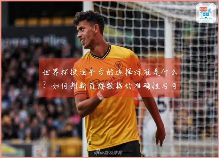 世界杯投注平台的选择标准是什么？如何判断直播数据的准确性与可靠性？