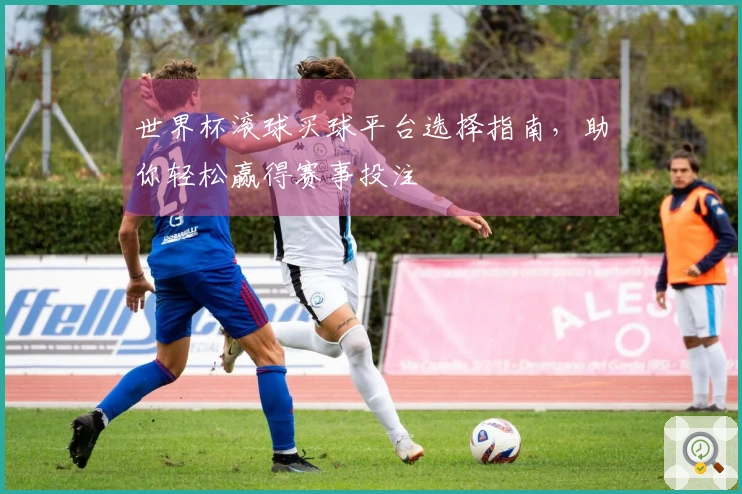 世界杯滚球买球平台选择指南，助你轻松赢得赛事投注