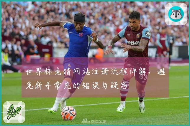 世界杯竞猜网站注册流程详解，避免新手常见的错误与疑惑