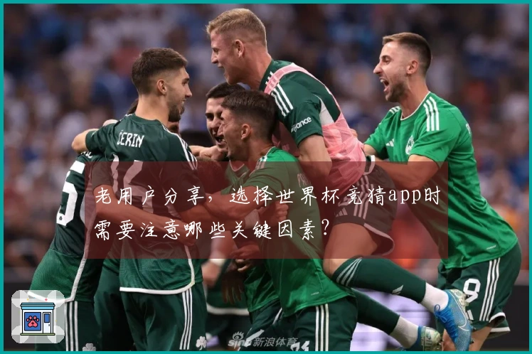 老用户分享，选择世界杯竞猜app时需要注意哪些关键因素？