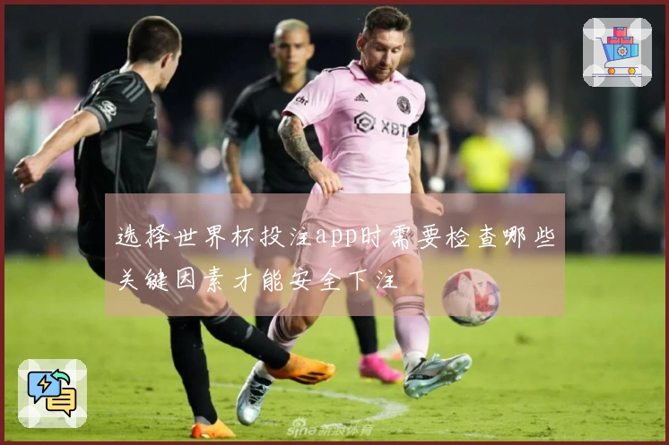 选择世界杯投注app时需要检查哪些关键因素才能安全下注