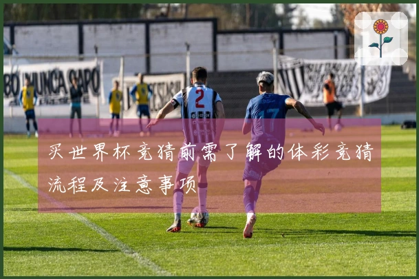 买世界杯竞猜前需了解的体彩竞猜流程及注意事项