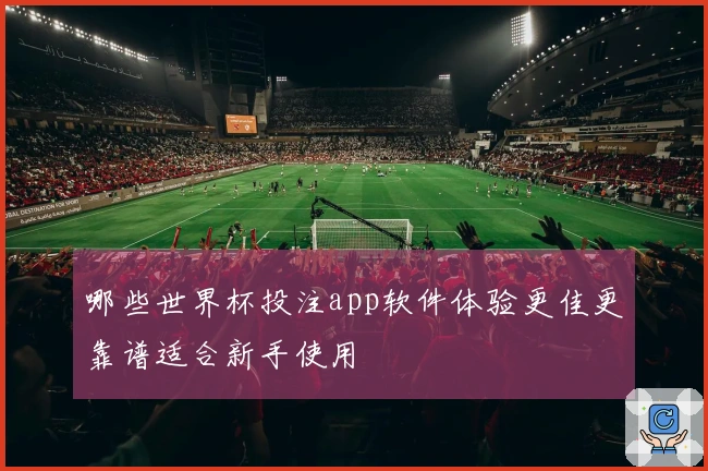 哪些世界杯投注app软件体验更佳更靠谱适合新手使用