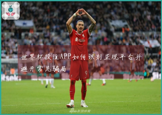 世界杯投注APP如何识别正规平台并避开常见骗局