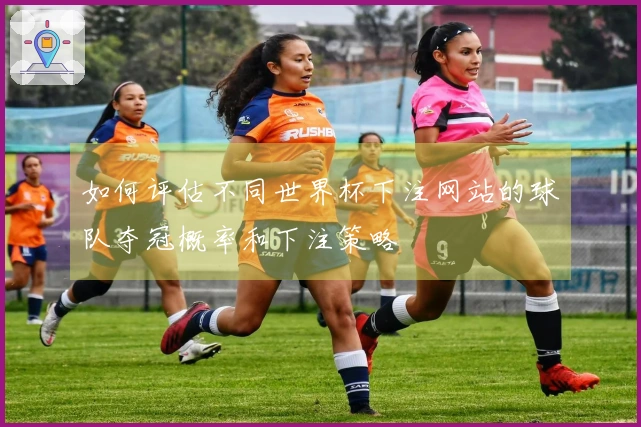 如何评估不同世界杯下注网站的球队夺冠概率和下注策略