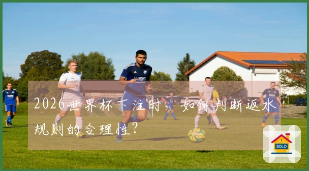 2026世界杯下注时，如何判断返水规则的合理性？