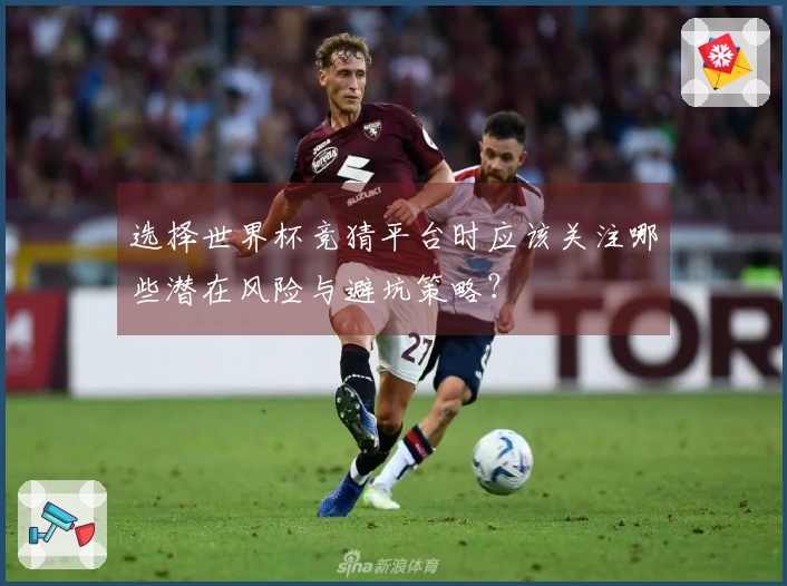 选择世界杯竞猜平台时应该关注哪些潜在风险与避坑策略？