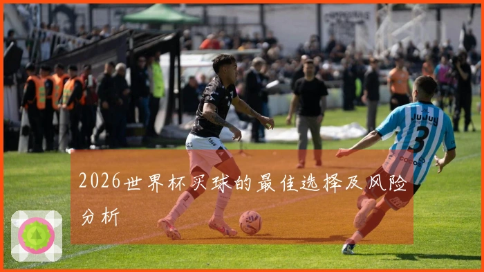 2026世界杯买球的最佳选择及风险分析