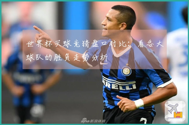 世界杯买球竞猜盘口对比：看各大球队的胜负走势分析