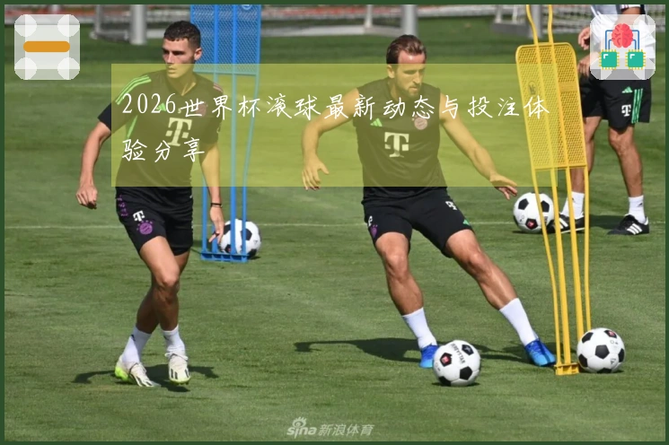2026世界杯滚球最新动态与投注体验分享
