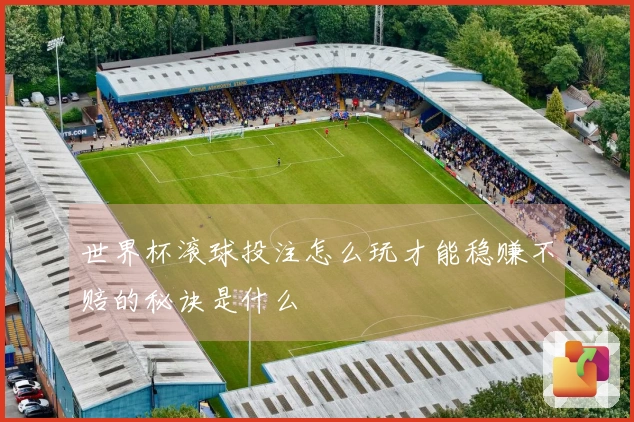 世界杯滚球投注怎么玩才能稳赚不赔的秘诀是什么
