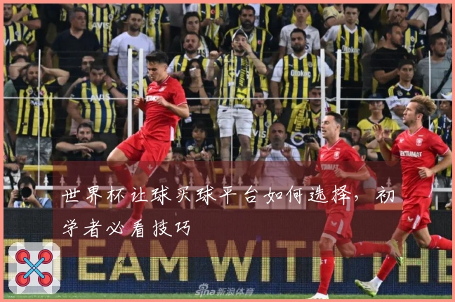 世界杯让球买球平台如何选择，初学者必看技巧