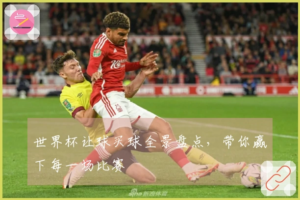 世界杯让球买球全景盘点，带你赢下每一场比赛