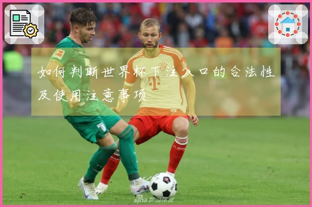 如何判断世界杯下注入口的合法性及使用注意事项