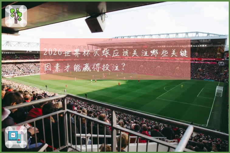 2026世界杯买球应该关注哪些关键因素才能赢得投注？